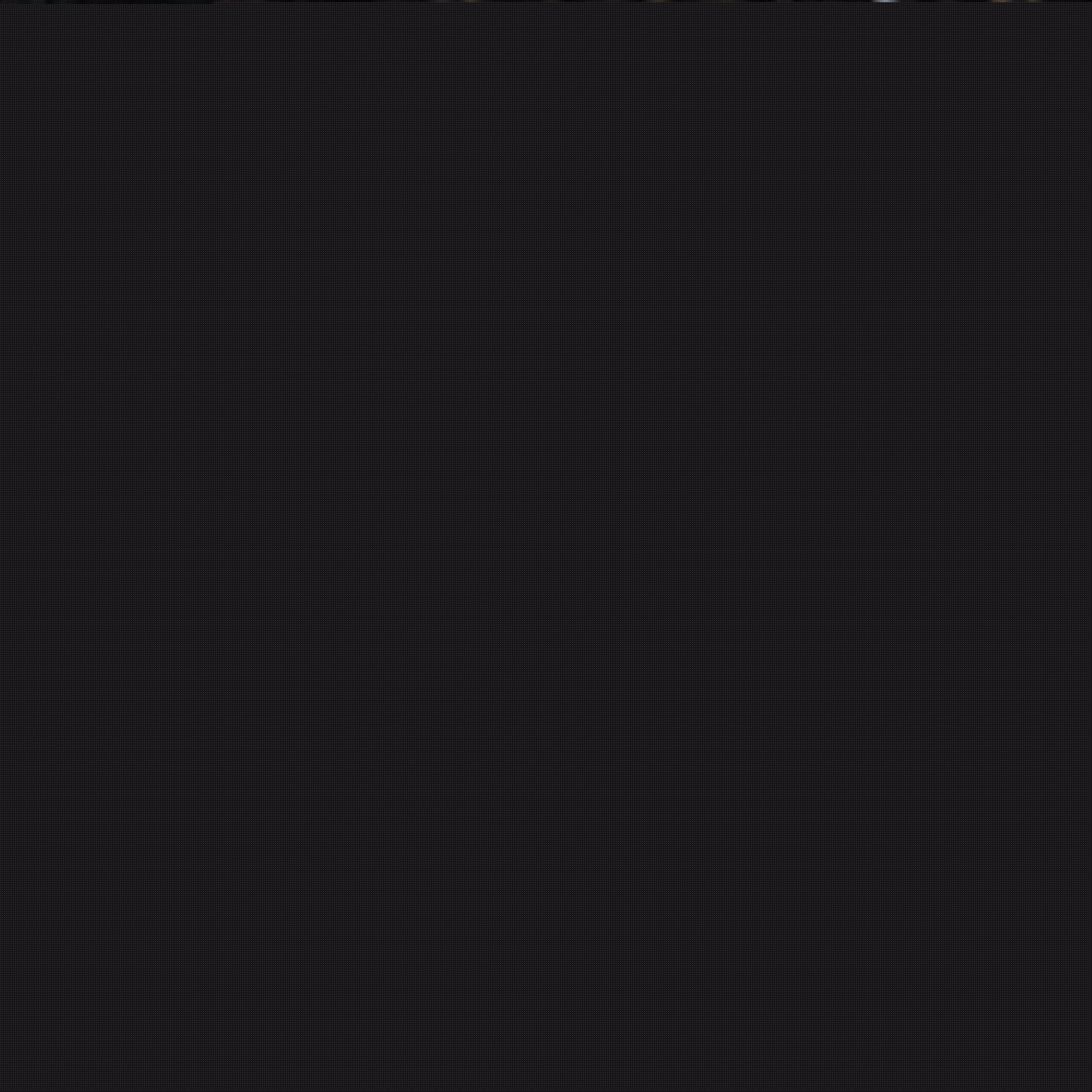 偶像与粉丝